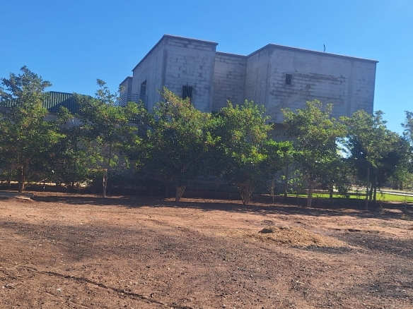 1000064393