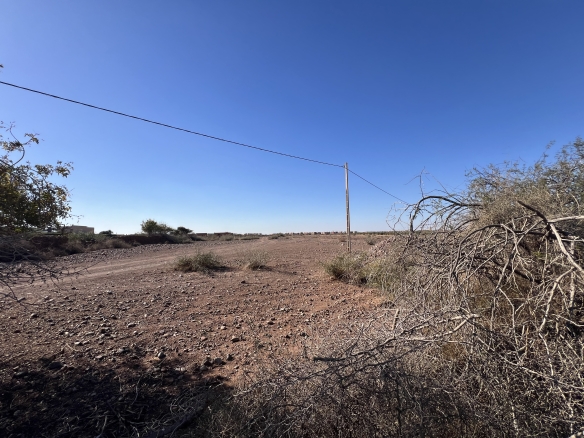 img 7436