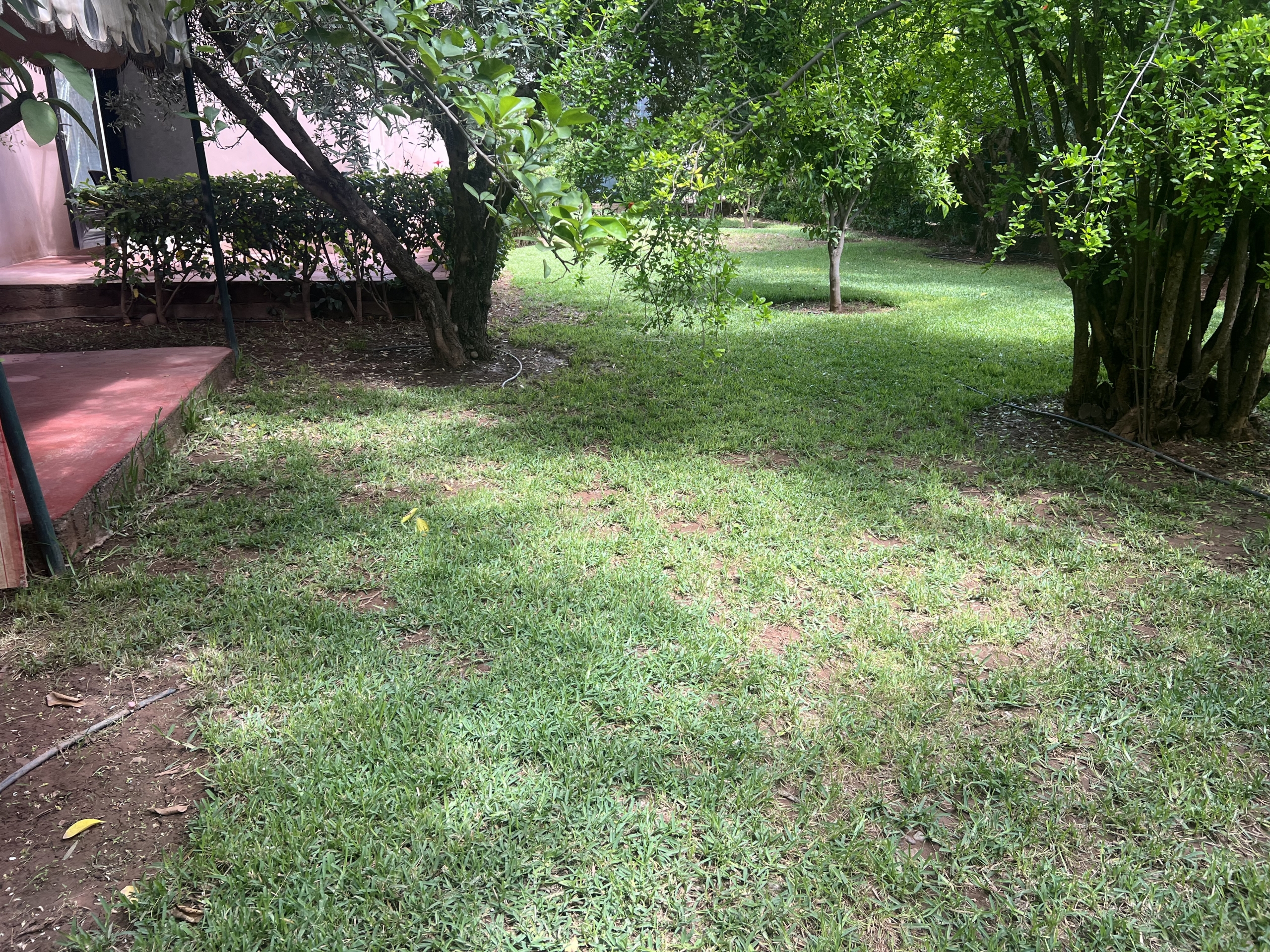 img 3064