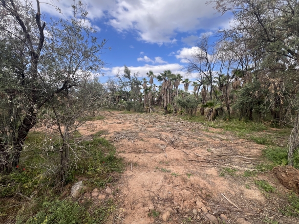 img 4610